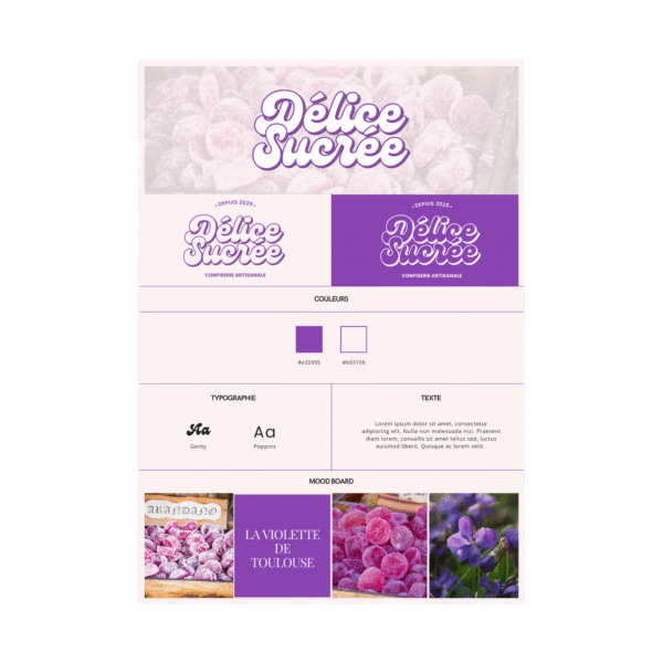 Charte Graphique Complète